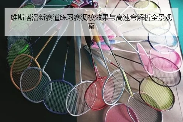 维斯塔潘新赛道练习赛调校效果与高速弯解析全景观察